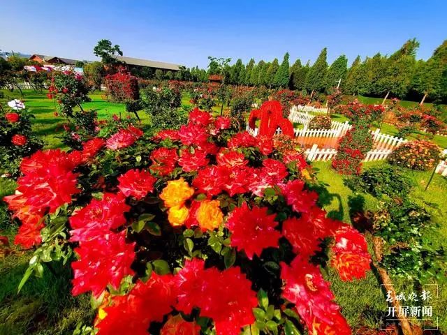 昆明滇池国家旅游度假区管理委员会(微信)