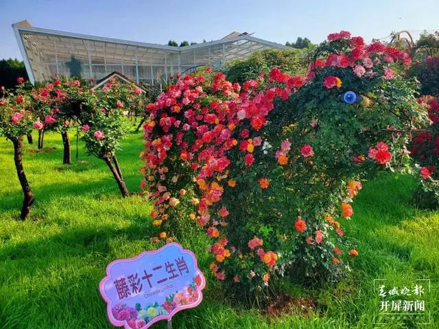 昆明滇池国家旅游度假区管理委员会(微信)