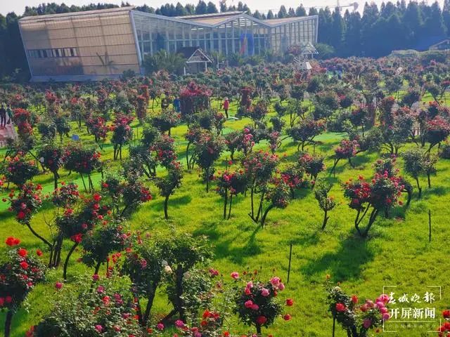 昆明滇池国家旅游度假区管理委员会(微信)