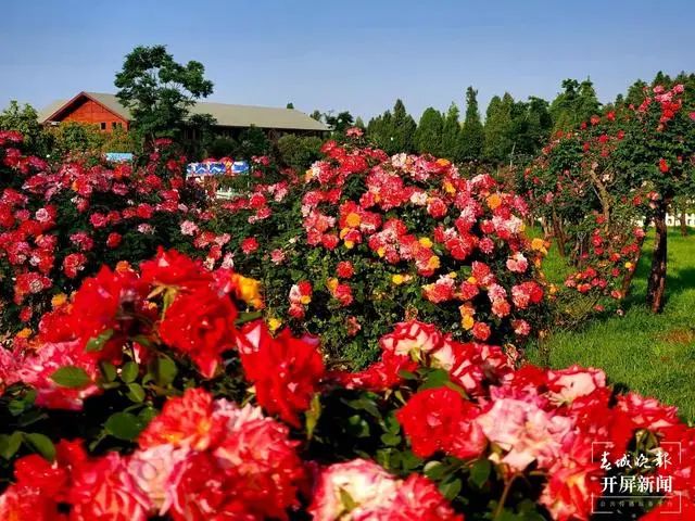 昆明滇池国家旅游度假区管理委员会(微信)