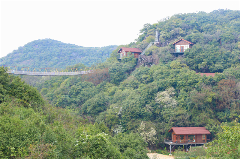 红河文旅(微信)