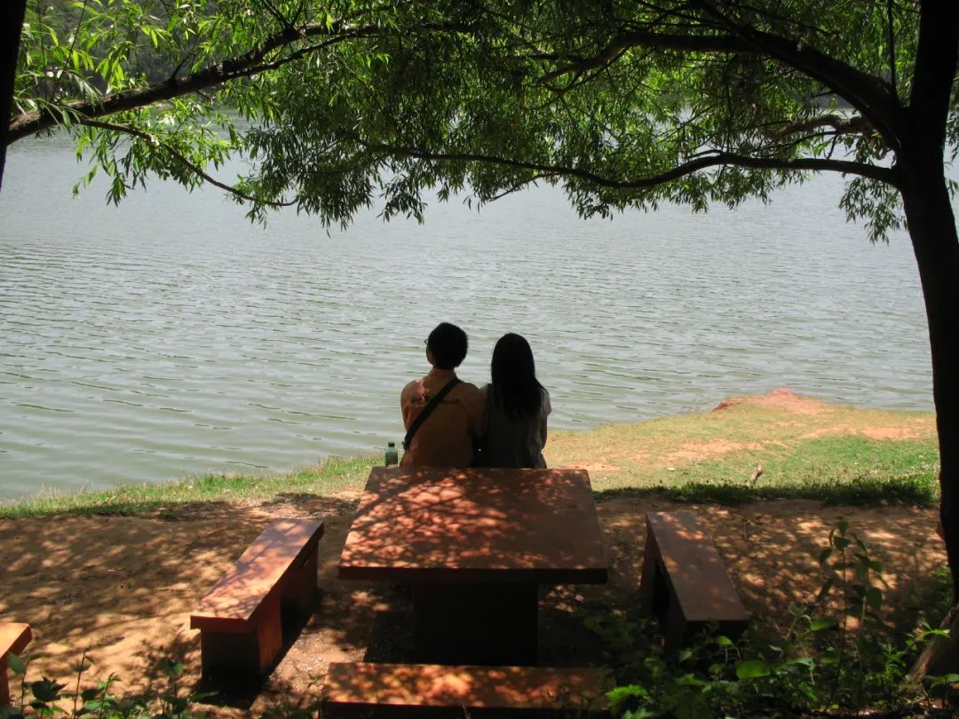 春城晚报(微信)