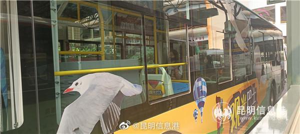 昆明信息港微博