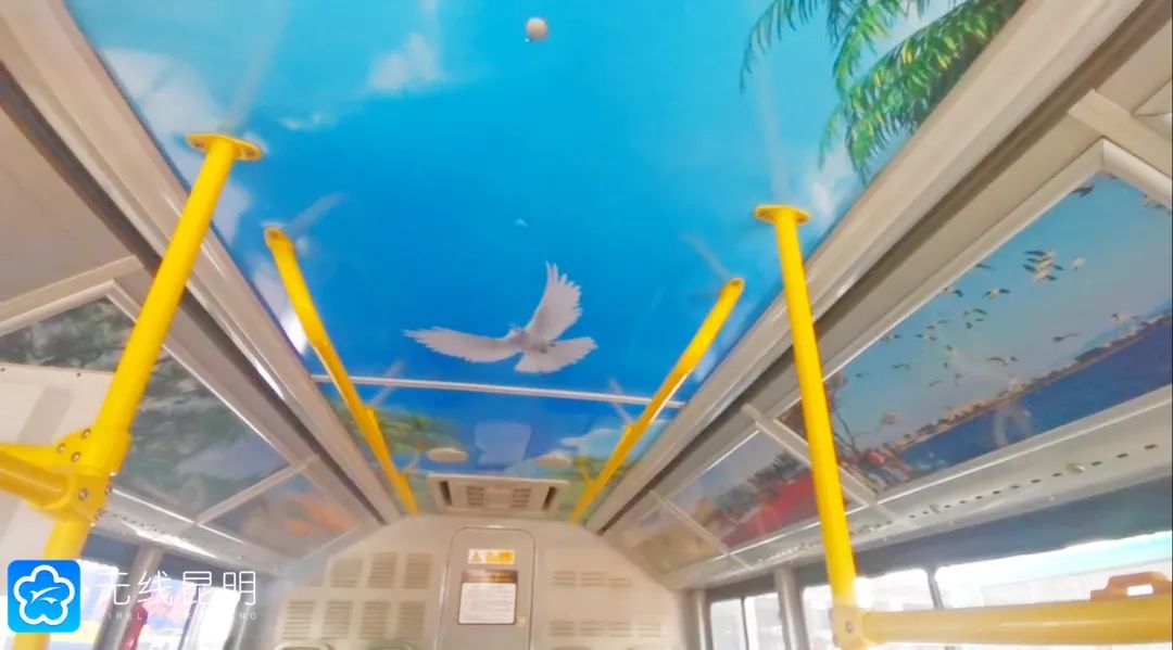 昆明发布(微信)