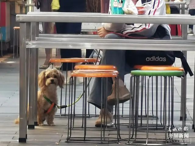 掌上春城(微信)