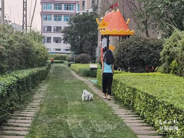 掌上春城(微信)