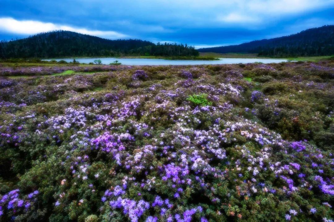 昆明信息港(微信)