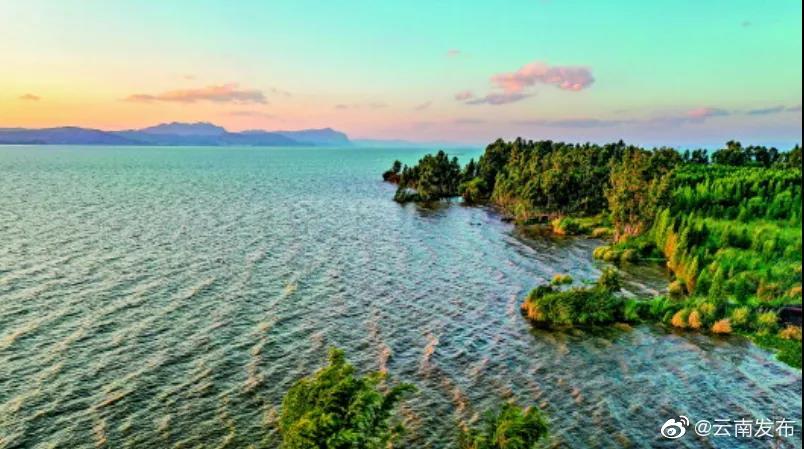 守护“地球之肾”！《新华每日电讯》聚焦云南湿地保护