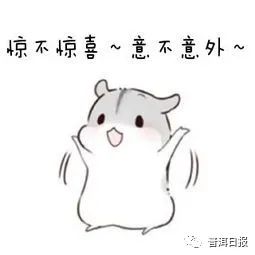普洱日报(微信)