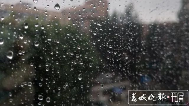 春城晚报(微信)