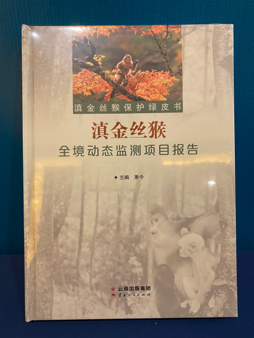 春城晚报(微信)