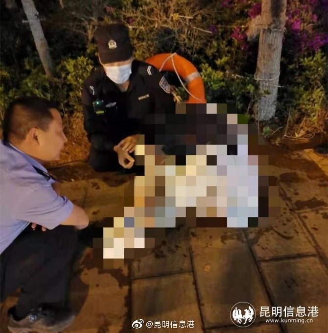 昆明信息港微博
