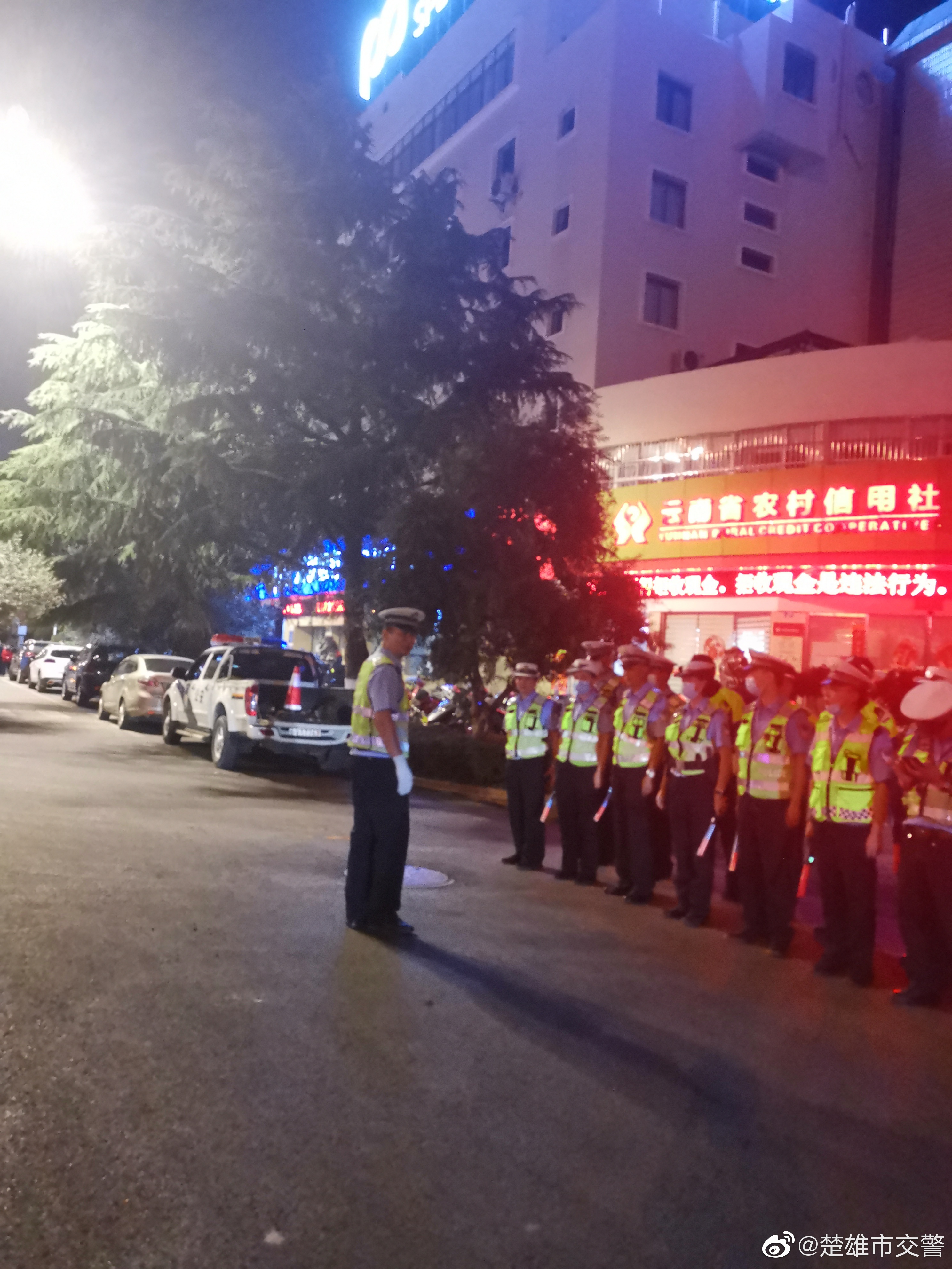 楚雄市交警微博