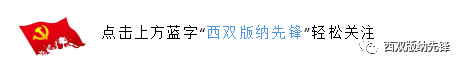 西双版纳先锋(微信)