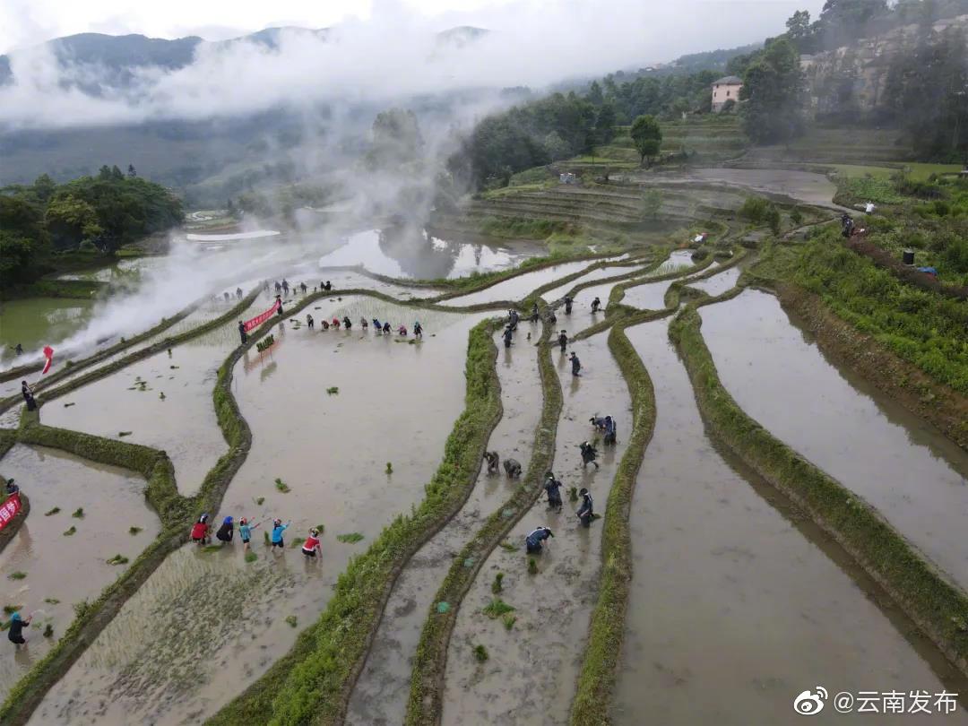 云南环境空气质量预报