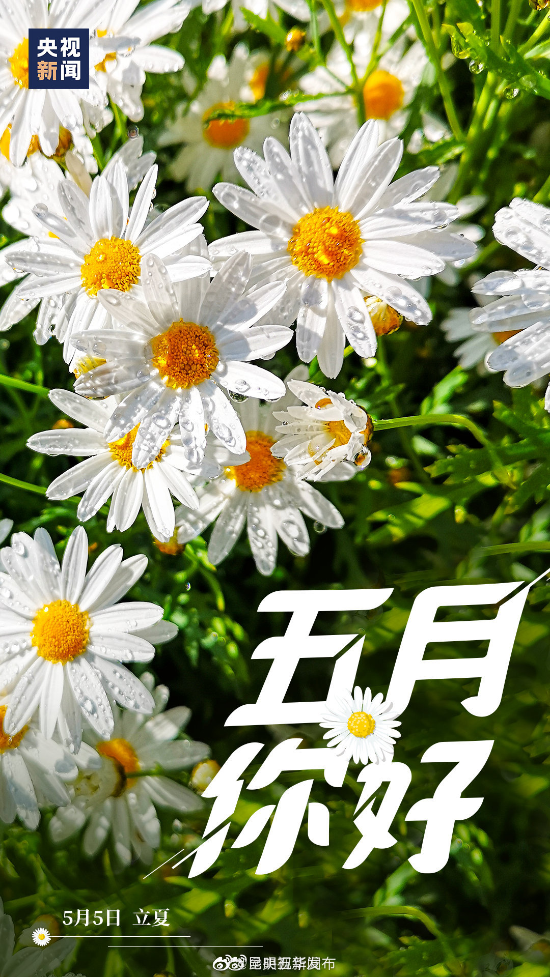 “昆明五华发布”微博