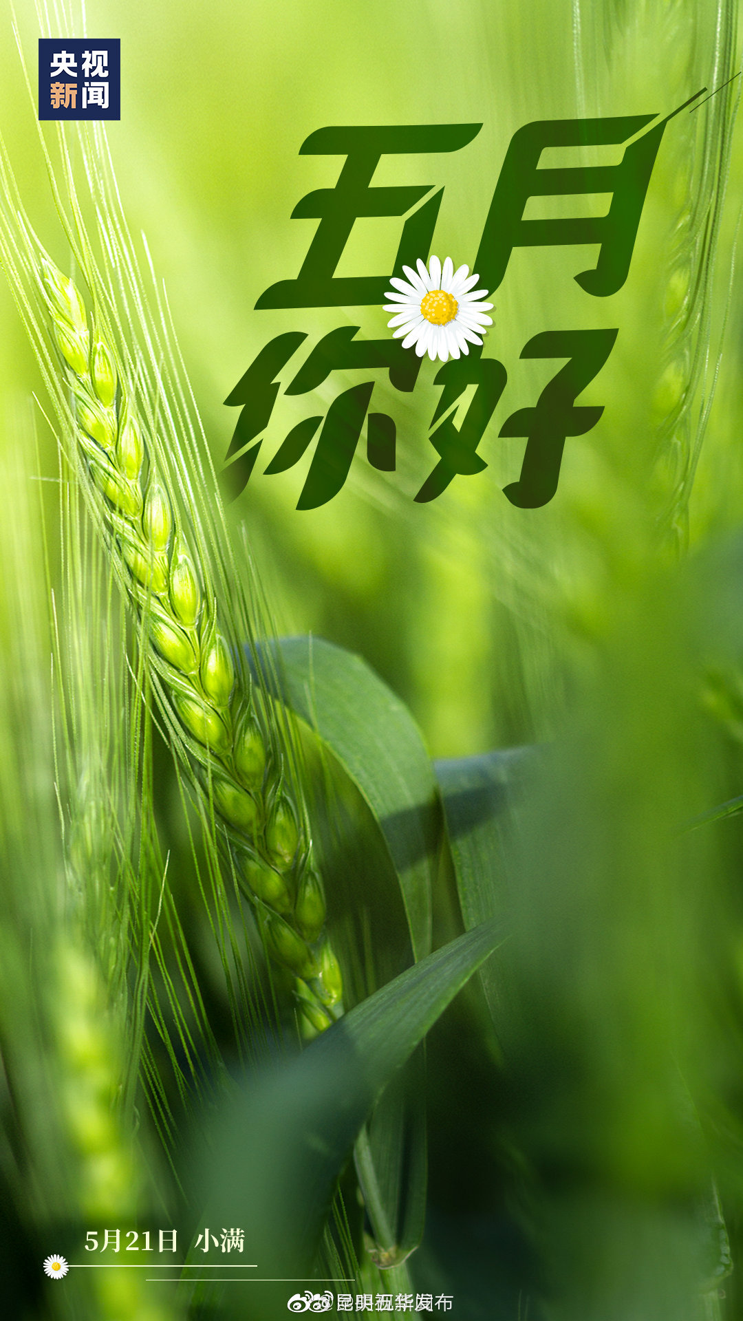 “昆明五华发布”微博