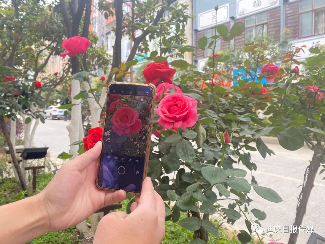 迪庆日报传媒(微信)