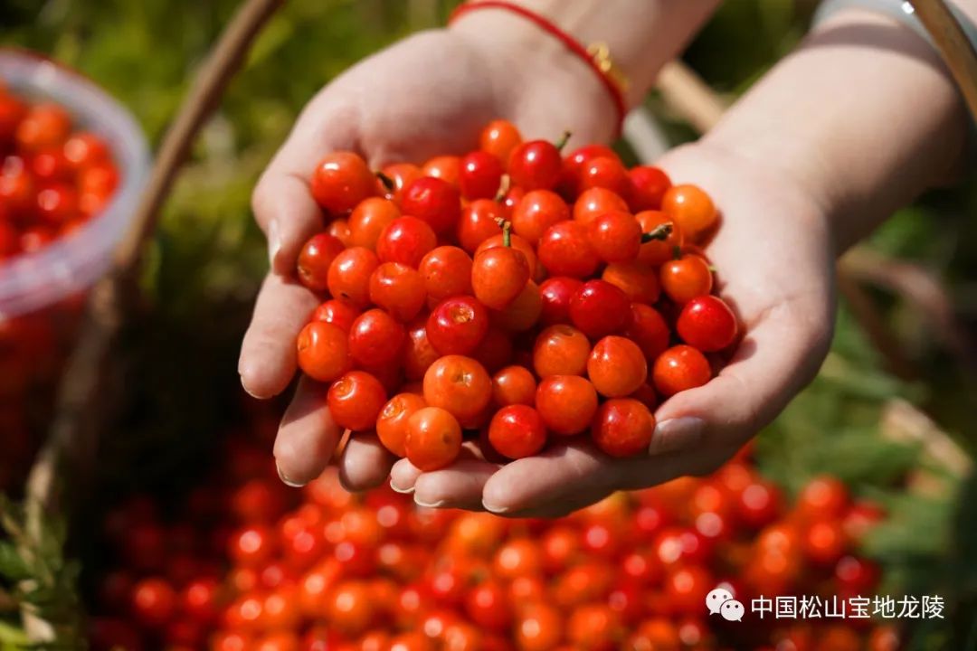 保山新闻网(微信)