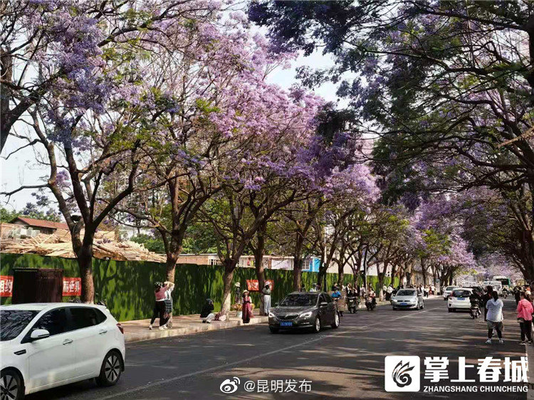 “昆明发布”微博