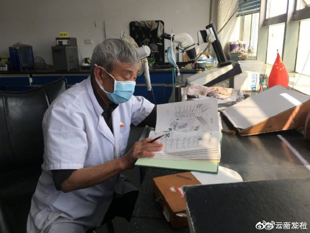 “云南发布”微博