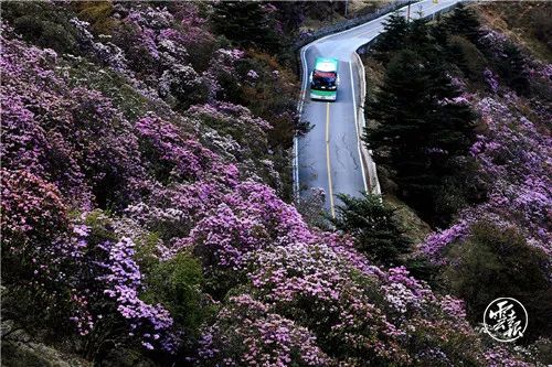 918云南交通台(微信)