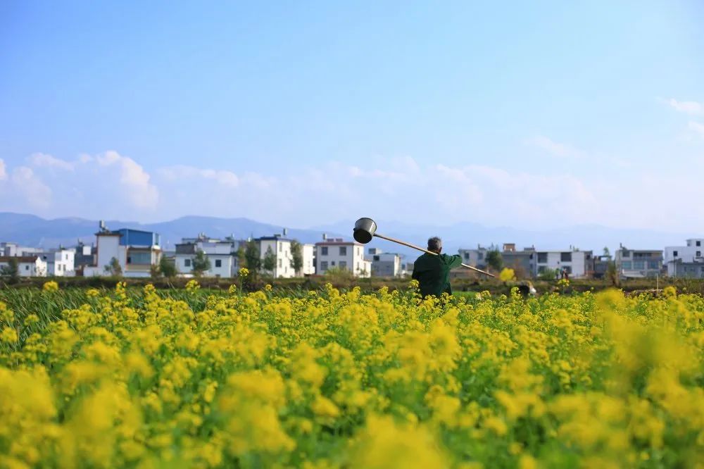 红河文旅(微信)