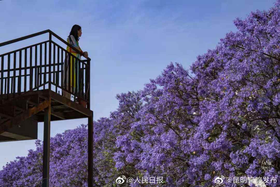 “昆明官渡发布”微博