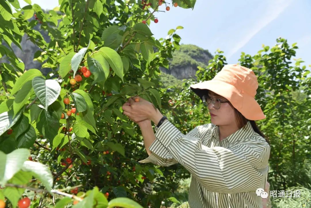 昭通日报(微信)