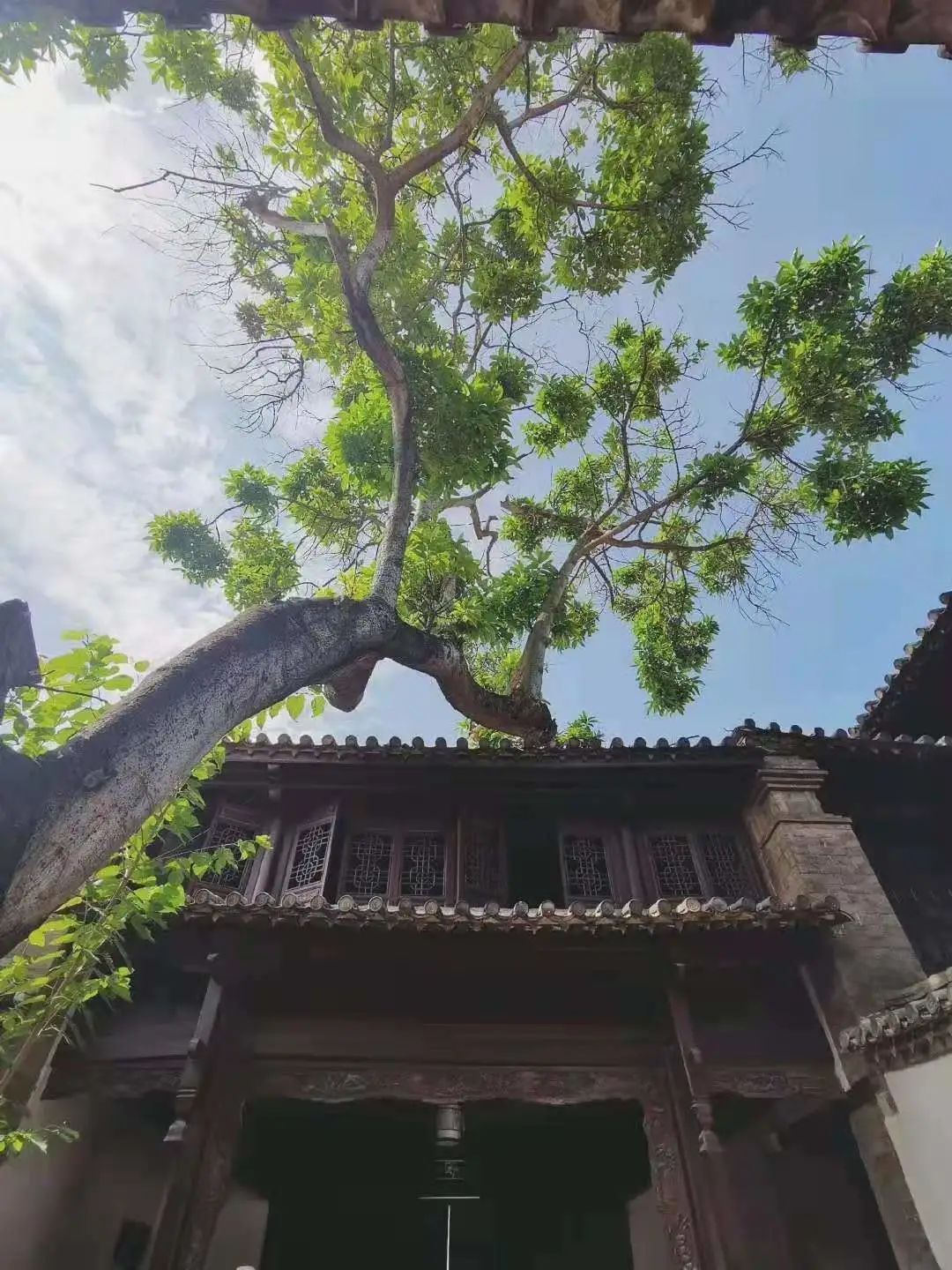 红河文旅(微信)