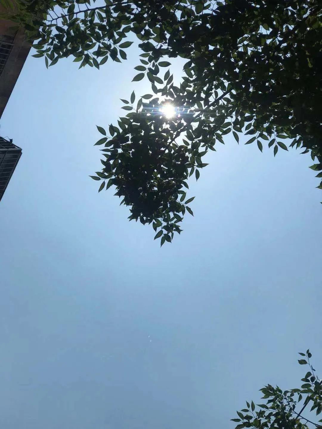 云南广播电视台(微信)