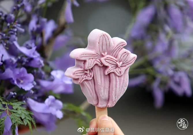 昆明信息港微博