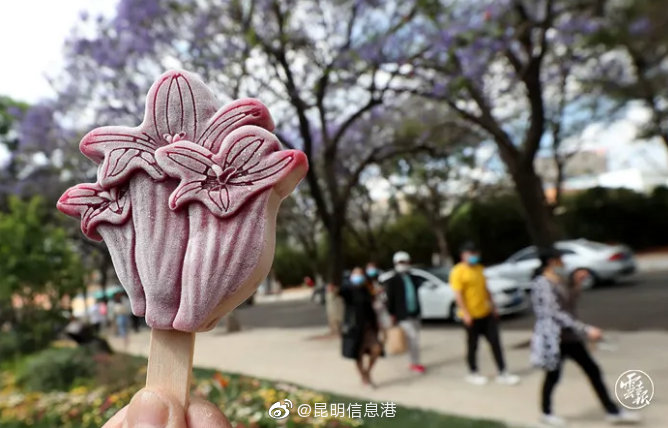 昆明信息港微博