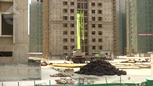 昆明信息港微博