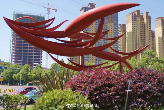 昆明信息港微博
