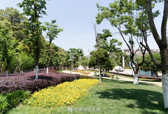 昆明信息港微博