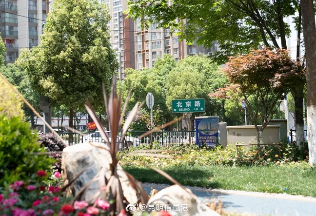 昆明信息港微博