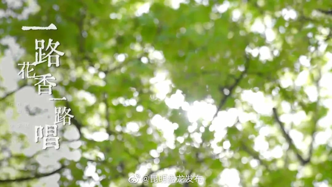 清华校庆MV在盘龙的取景地 你打卡了没？