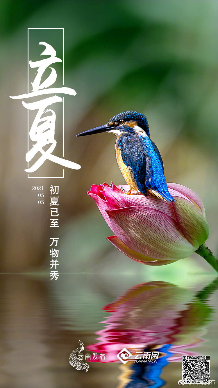 今日立夏 | 这个夏天，想和你环游云南