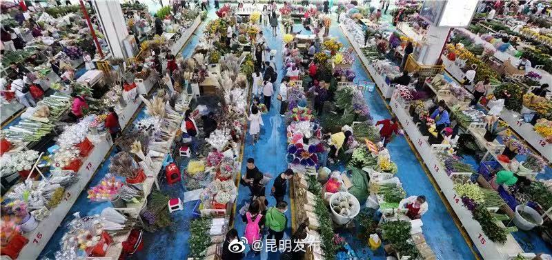 “昆明发布”微博
