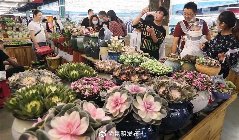 “昆明发布”微博