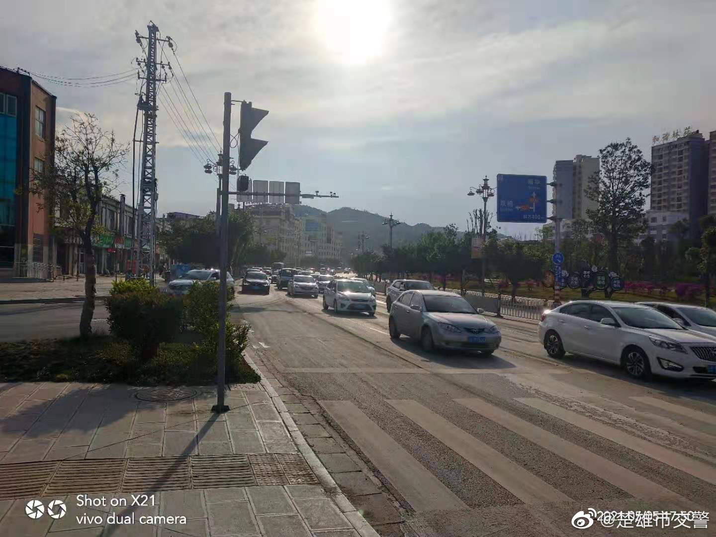 楚雄市交警微博