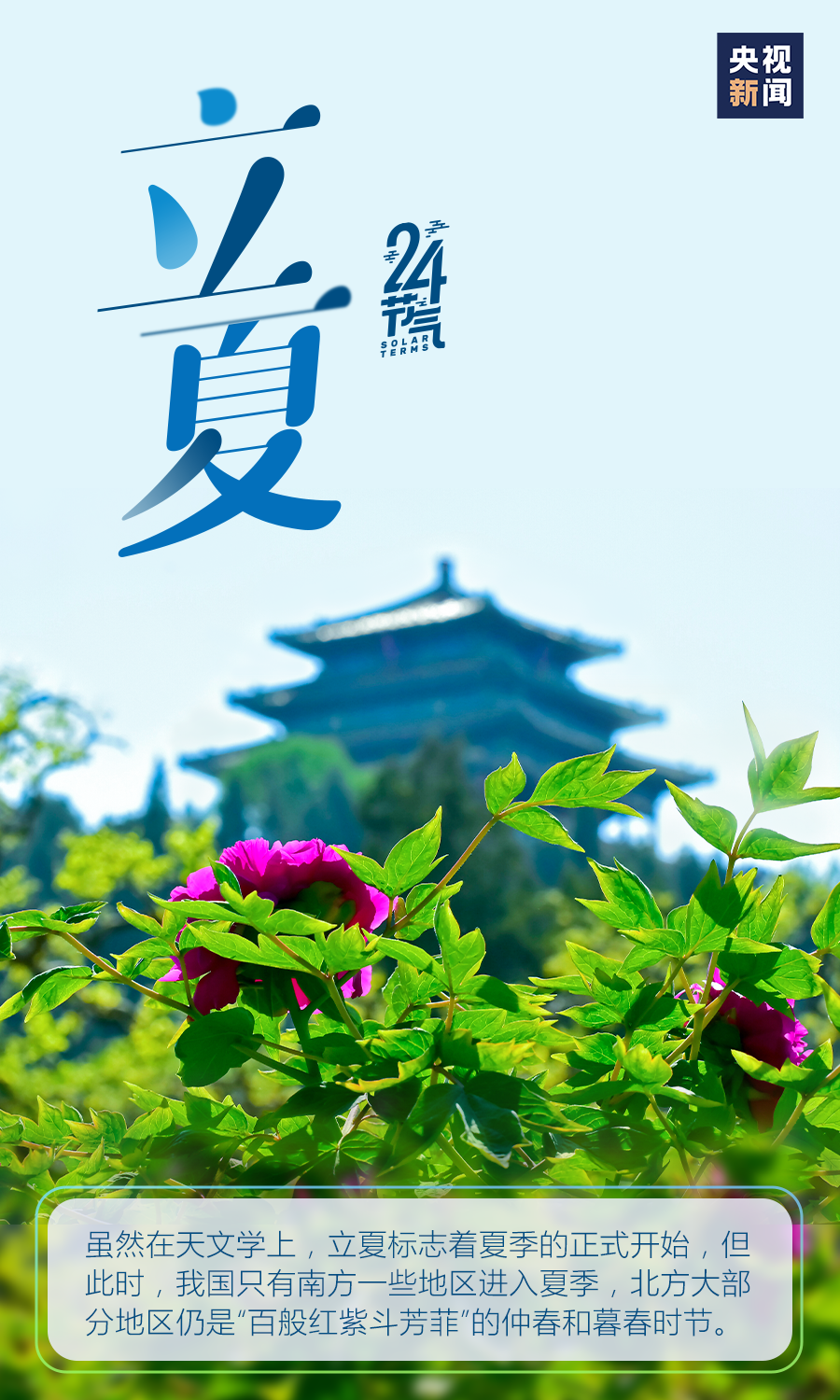 云岭先峰(微信)