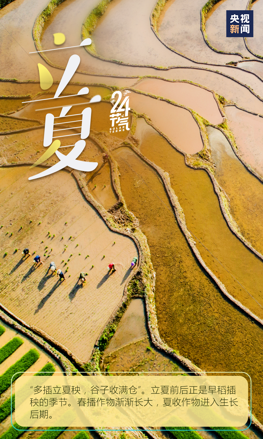 云岭先峰(微信)