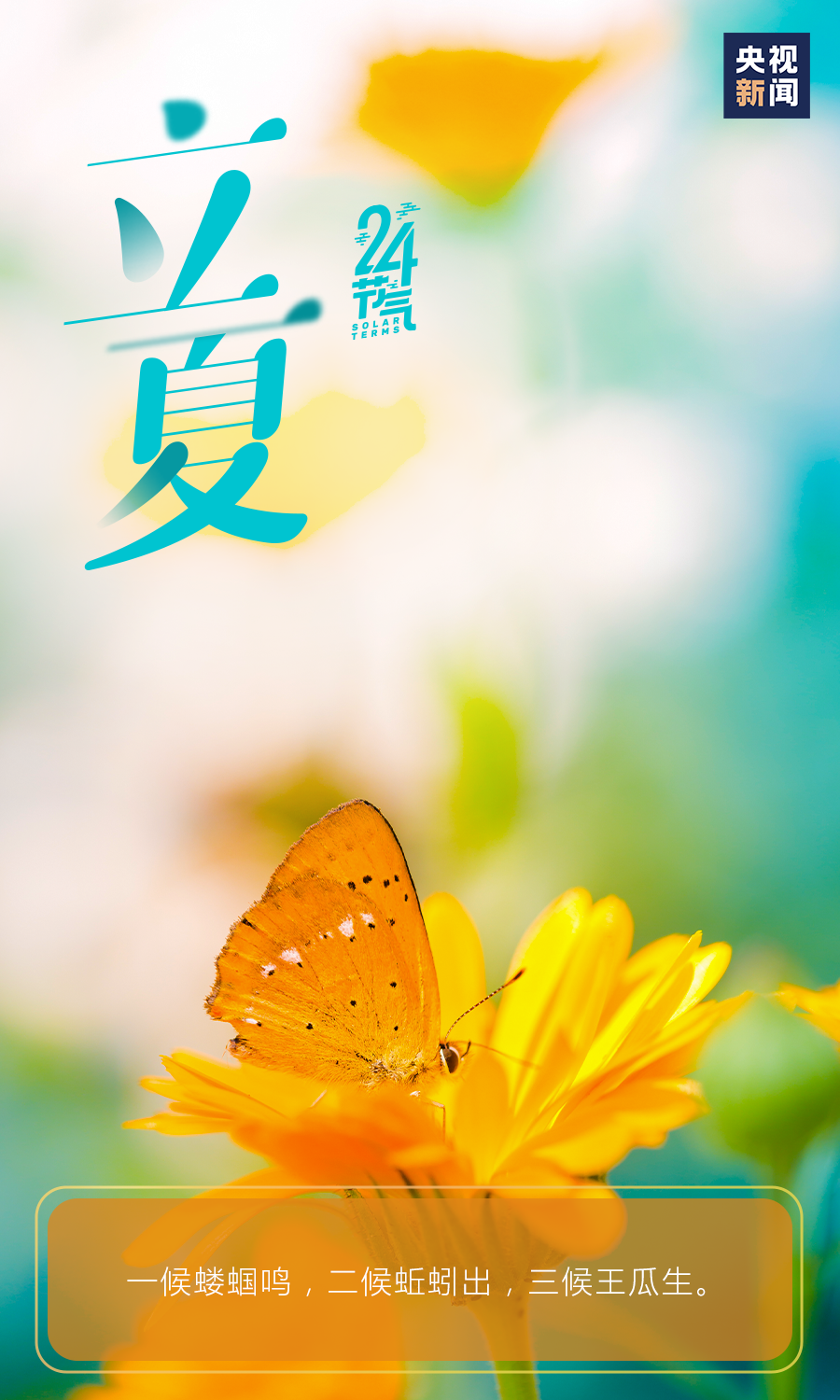 云岭先峰(微信)