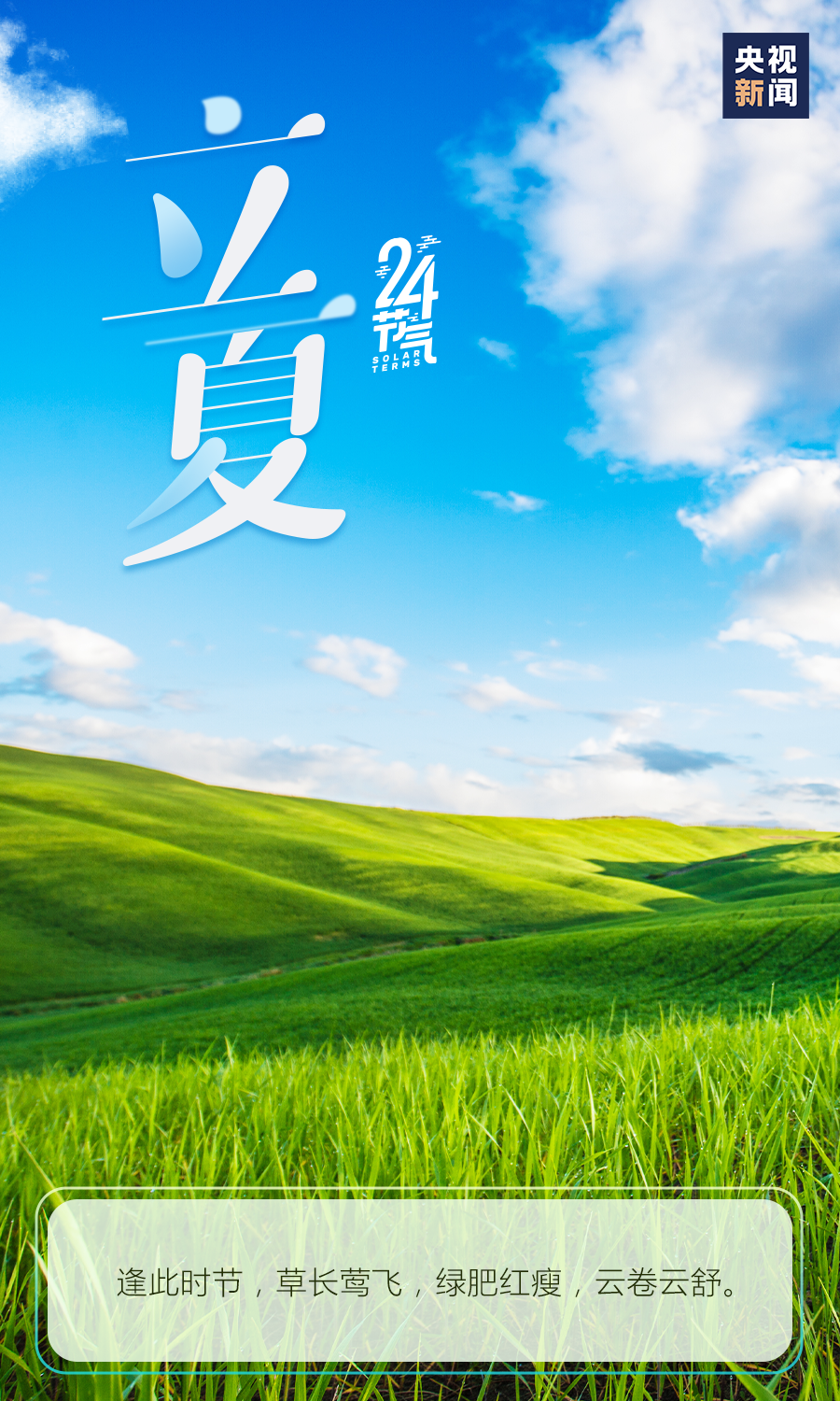 云岭先峰(微信)