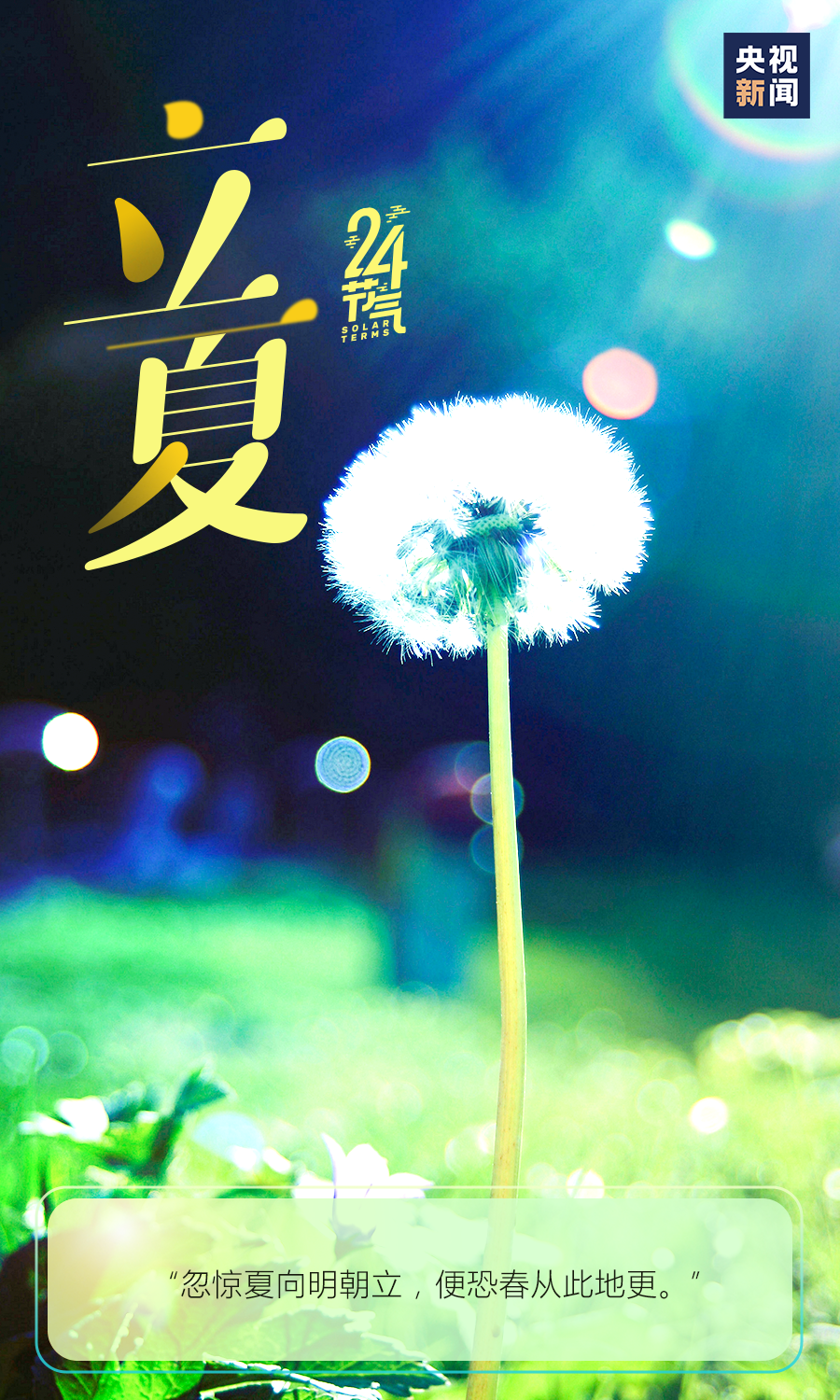 云岭先峰(微信)
