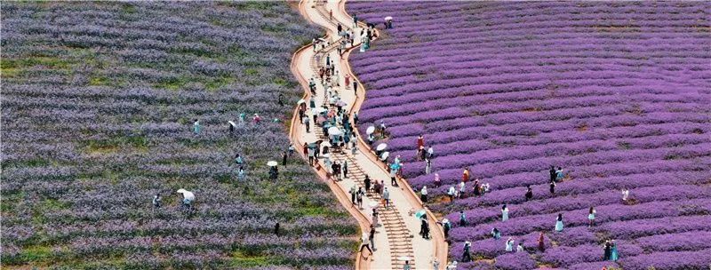 红河文旅(微信)
