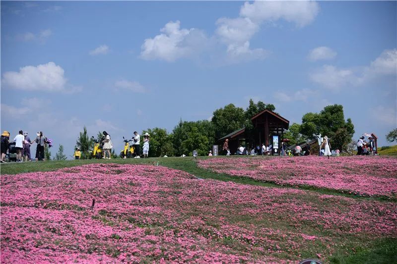 红河文旅(微信)