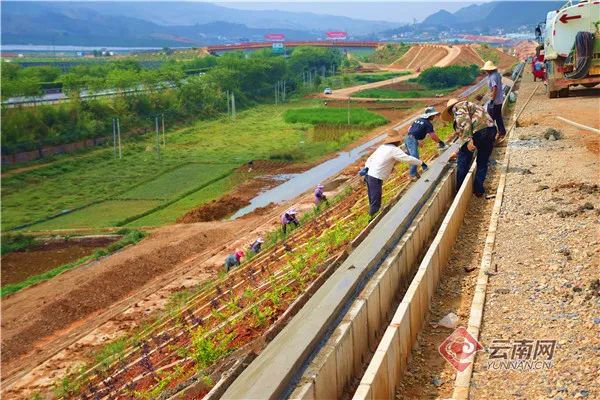 红河文旅(微信)